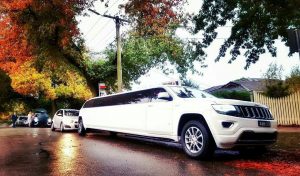 Autumn Leaves and Jeep Limousines