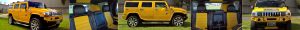 The Tiger Yellow Hummer